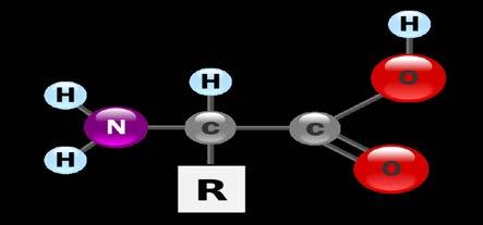 Oparin Haldane Oparin e Haldane, partiram do pressuposto de que a atmosfera primitiva da Terra era composta predominantemente por metano (CH 4 ), amônia (NH 3 ), hidrogênio (H 2 ), monóxido de