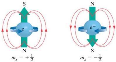 NÚMEROS QUÂNTICOS Quarto Número Quântico, Número Quântico Quaternário ou Número Quântico de Spin (ms) Especifica o spin do elétron; Está associado