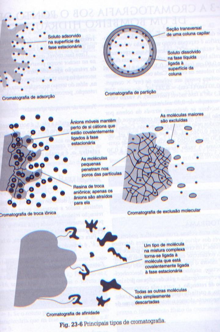 vários tipos de interação definem as várias cromatografias: adsorção (interação intermolecular com a superfície de um sólido) partição: soluto particiona entre a fase gasosa e líquida (molhando a