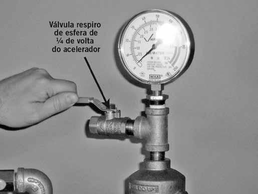 PONDO O SISTEMA PARA FUNCIONAR CUIDADO Certifique-se de que a Válvula de Pré-Ação Firelock NXT, Série 769 foi aquecida e protegida adequadamente contra temperaturas congelantes e danos físicos.