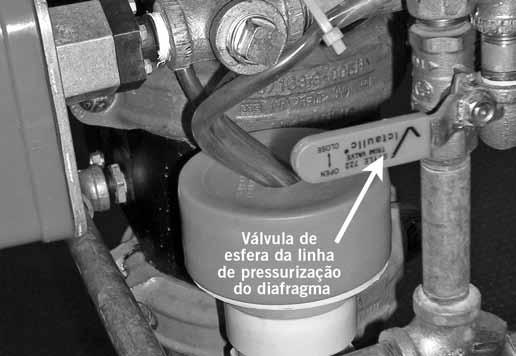 Se a pressão na linha de pressurização do diafragma cair, o diafragma deve ser substituído e/ou qualquer vazamento na linha deve ser eliminado. Consulte a seção Remoção e troca do conjunto diafragma.