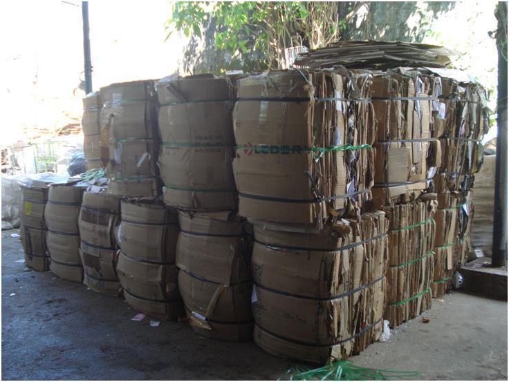 Na cidade de Manaus o processo de trabalho da catação de papelão ocorre da seguinte forma: o papelão é recolhido de alguns pátios das empresas do Pólo Industrial de Manaus e das ruas do centro de