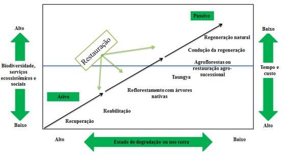 Adaptado de Chazdon 2008 Importantes teorias ecológicas para a restauração Competição e Partição de Nicho Mutualismos (trófico,