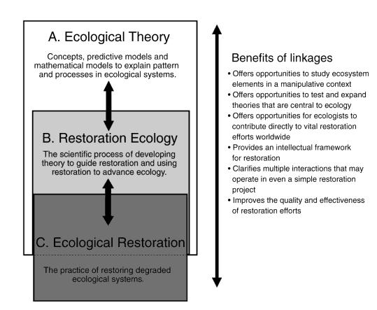 (ciclo vida) Sucessão ecológica (Facilitação, tolerância e inibição) Assembly rules/regras de montagem Distúrbio intermediário