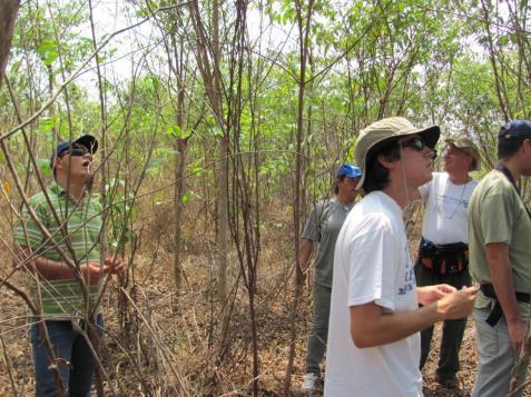 Preencher o solo em Cerrado = vencer as exóticas Quinto ano