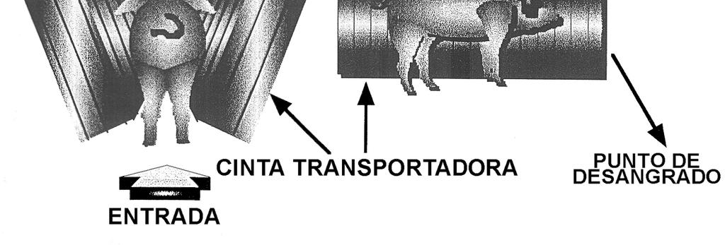 15 s 20 s tempo de passagem no restrainer