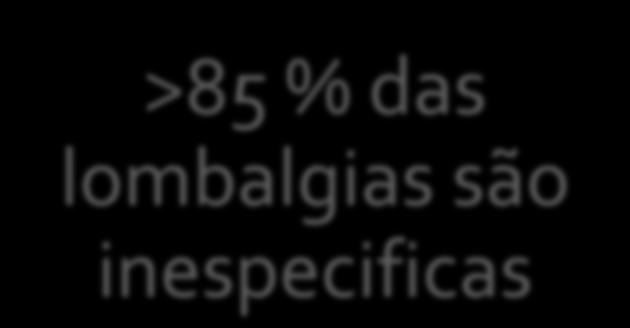 >85 % das