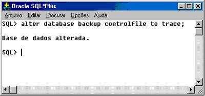 Backup físico Backup manager do Oracle.