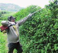 melhora a qualidade do produto e, ainda, preserva sua saúde.