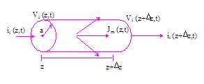 5915756 Introdução à Nurocênca Coputaconal Antono oqu Aula 7 O dsnho ostra u dtalh do condutor ntrno para o cálculo da l das corrnts d Krchoff para o nó (a) Equação (1).
