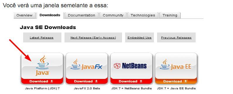 15 Instalação JDK no Windows Passo 3: Instalando o ambiente de desenvolvimento (Java