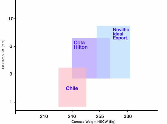 Exigências de Exportação