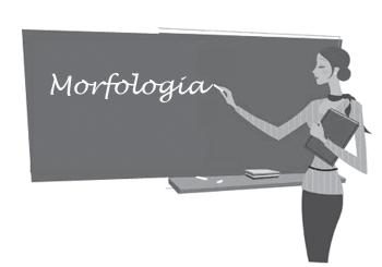 INTRODUÇÃO À MORFOLOGIA Aula 2 META Expor os princípios básicos da Morfologia, segundo a Gramática Descritiva.