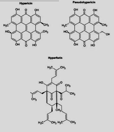 seca, diarréia, sonolência Não existem estudos quanto ao uso na gravidez, lactação e extremos de idade Hypericum perforatum PARTE UTILIZADA sumidades floridas coletadas de junho-agosto.