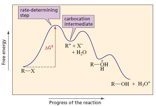 Etapa determinante da