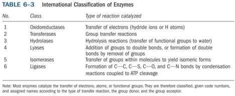 Regulação A concentração e a atividade da enzima podem ser reguladas.