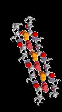 Classificação Quanto à Forma Fibrosas São formadas geralmente por longas moléculas