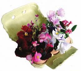 _41 MINI-RAMOS Material Ovos, faca, flores de jardim e esponja para arranjos florais. 1_ Humedece a esponja com água.