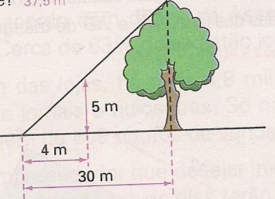 34) Para determinar a altura de uma árvore utilizou-se o esquema mostrado. Nessas condições, qual e a altura da árvore?