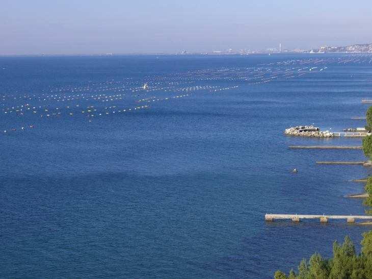 Temas Recursos marinhos pescas e aquacultura Aquacultura na orla costeira ARH-Tejo Controle de