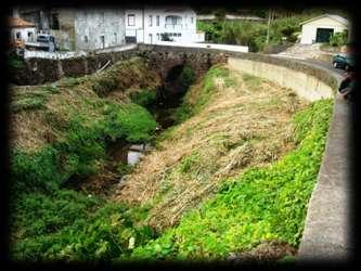 Municipal Limpeza de caminhos,