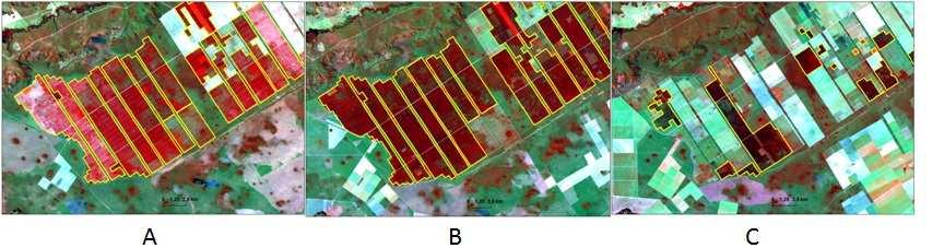 2.2. Base de dados e Procedimentos de análise A base de dados utilizada para mapear as áreas de reflorestamento de eucalipto consistiu em imagens orbitais do satélite Landsat 5 TM, para os anos 1990,