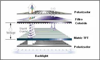 1.6 LUZ BACKLIGHT A tecnologia de LCD é baseada no príncipio de que moléculas em linha conduzem a polarização da luz.