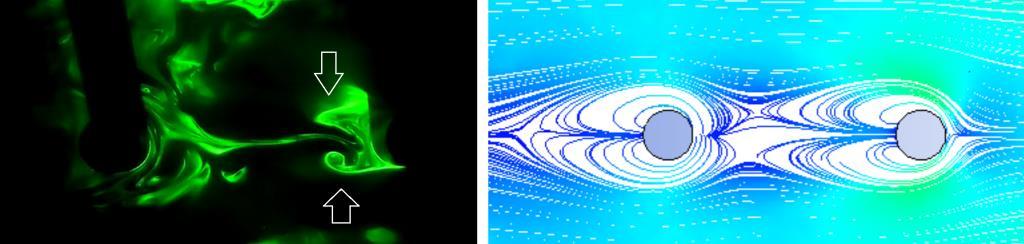 Fgura 6. Resultados expermentas (esquerda) e numércos (dreta) do escoamento ao redor de um par de clndros para Re = 70 e S/D = 5,0.. 3.