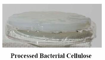 Estudos preliminares detectaram que com a celulose bacteriana é possível fabricar de coletes à prova de bala a material para preservação de