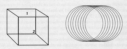 Evidência empírica: ambiguidade visual " percepção de