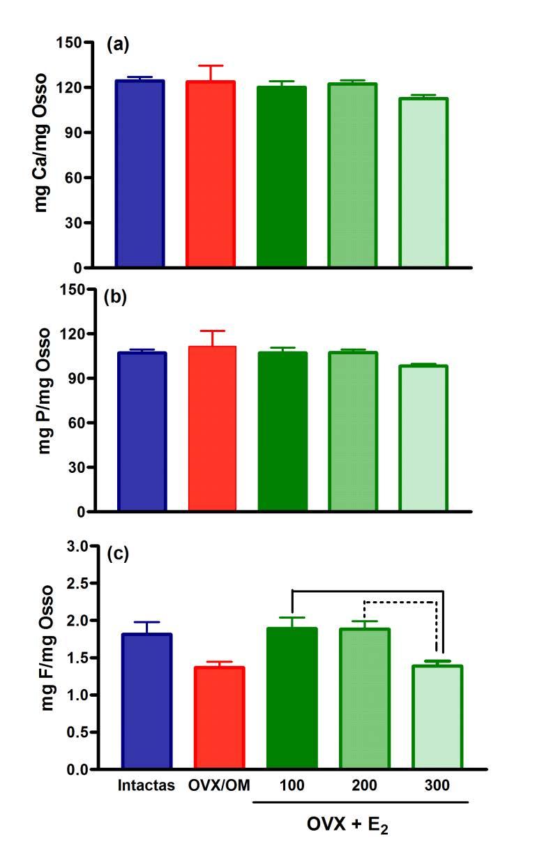 20 Figura 4 Concentração mineral de cálcio (a), fósforo (b) e fluoreto (c) das cinzas do fêmur de ratas intactas, OVX