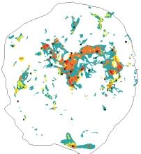 Técnicas de Inferência Geográfica Os pesos definidos pela técnica AHP foram: gama-radiometria - 0,514; litologia - 0,258; estruturas circulares - 0,1223; estruturas lineares - 0,0529; contatos