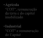 Capital de giro CUSTO OPERACIONAL EFETIVO ("COE") CUSTO OPERACIONAL TOTAL
