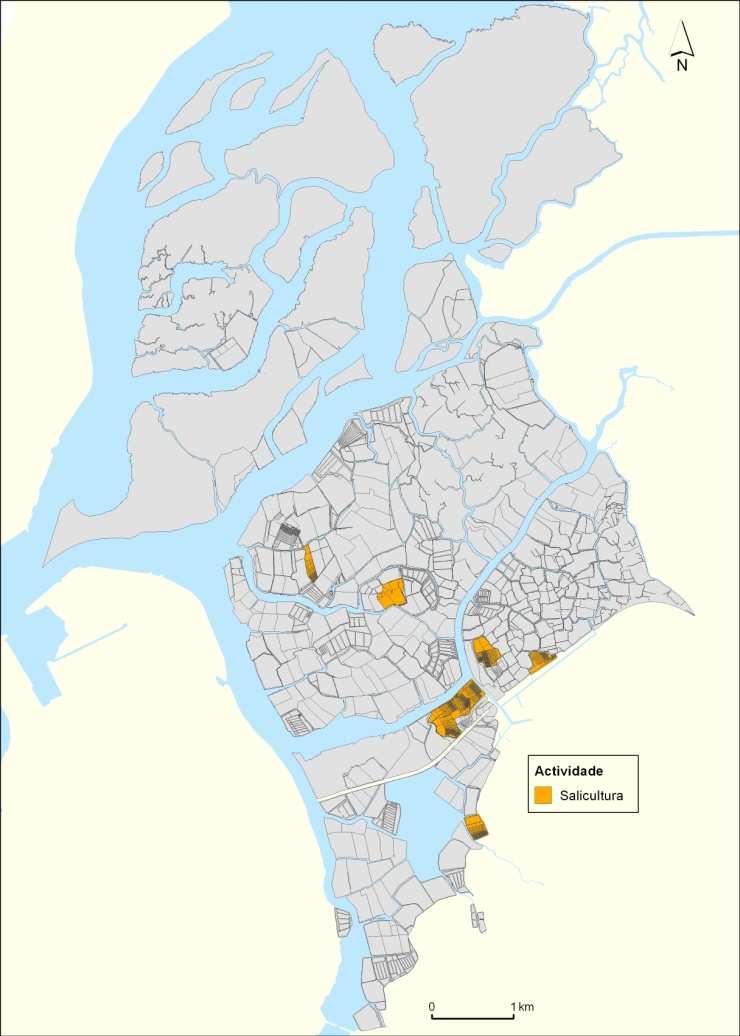 Figura 14 Marinhas activas com salicultura Fonte: MultiAveiro, Estudo de Revitalização e Valorização Económica do Salgado de Aveiro, Dezembro de 2007.