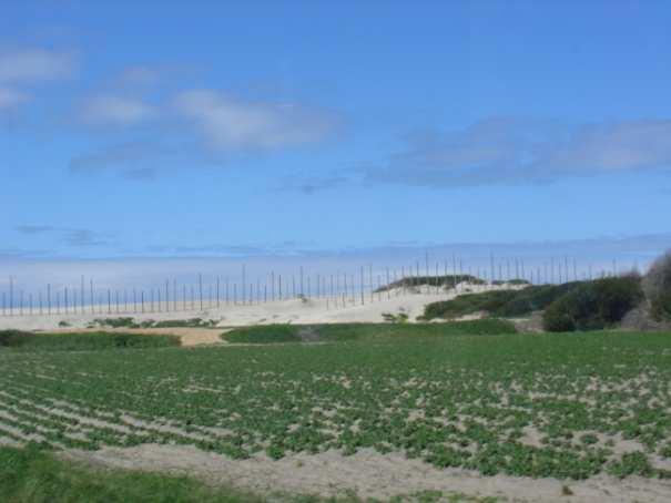 défice sedimentar irão contribuir para uma optimização do equilíbrio hidrodinâmico da Ria.