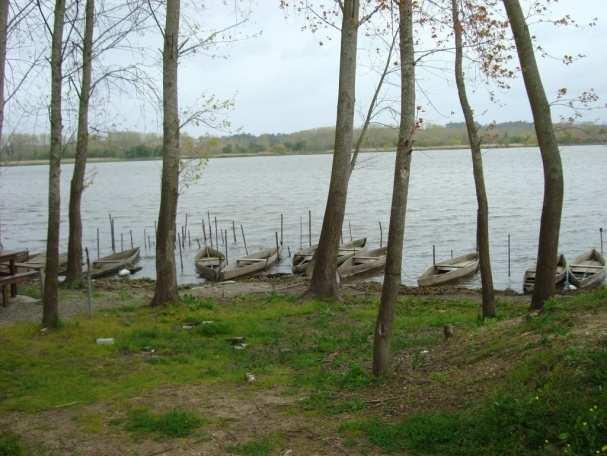 sistemas hídricos adjacentes à laguna (pateiras de Fermentelos e de Frossos, barrinha de Mira,