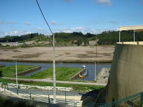 As acções a desenvolver neste âmbito visam responder a esta dupla dimensão deste espaços integrando projectos de requalificação e limpeza das áreas naturais