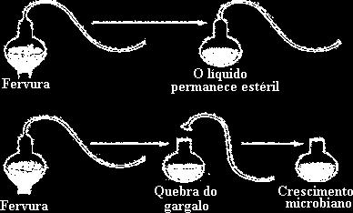 ABIOGÊNESE X BIOGÊNESE EXPERIMENTOS DE PASTEUR (1860) Fervura de caldo nutritivo em