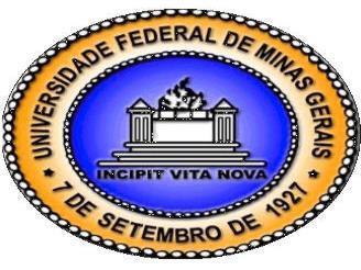 Universidade Federal de Minas Gerais Reitor: Prof. Jaime Arturo Rodriguez Vice-Reitora: Sandra Regina Goulart Almeida Faculdade de Filosofia e Ciências Humanas Diretor: Prof.