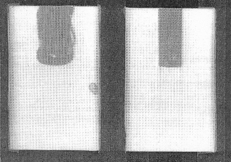 30 Figura 2.07 Imagem tomográficas mostrando um padrão típico de dano criado em ambos os fluxos.