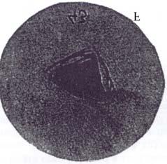 33 Figura 2.10 Imagens tomográficas de seções transversais de amostras ensaiadas.(a) Arenito Red Wildmoor; (b) Arenito Sintético; (c) Testemunho A; (d) Testemunho B; e (e) Testemunho C.
