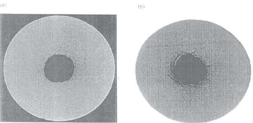 28 Figura 2.04 Imagens de seções transversais de duas amostras após o ensaio: (a) tamanho médio de grãos constituinte igual a 250 µm,e (b) 100 µm. (Tronvoll et al.,1997).