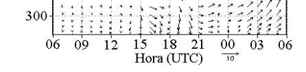 A hora local (HL) pode ser obtida da diferença HL =UTC -3 horas. 14:00 UTC (11:00 HL) e 20:00 UTC (1700 HL), o que caracteriza a formação da brisa lacustre.