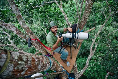 EQUIPE: João Marcos Rosa nasceu em Belo Horizonte em 1979 e começou sua carreira em 1998, documentando a a cultura e a biodiversidade brasileira.