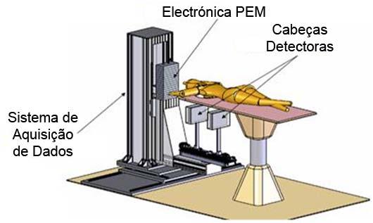 2. Sistema PEM O sistema PEM baseia-se no princípio de funcionamento da tecnologia PET aplicada tradicionalmente a sistemas de exame de corpo inteiro.