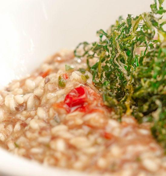 almoço e jantar ENTRADA: Salada Verde. PRATO PRINCIPAL: Risoto de Costela com Pimenta Biquinho e Crocante de Couve. SOBREMESA: Pudim de Leite Condensado.