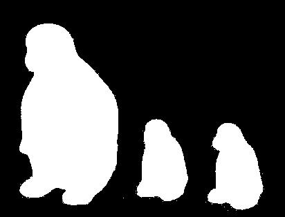 UNID) (H004) PINGUINS (3