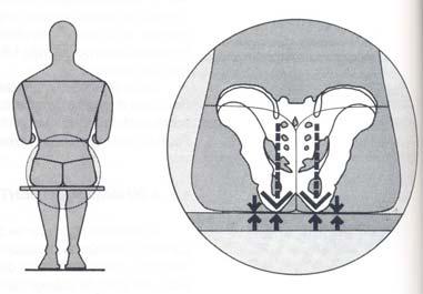 por dois ossos de forma arredondada, situados na bacia, chamados de tuberosidades isquiáticas; na Figura 5, a vista posterior; e na Figura 6, vista lateral. Fonte: PANERO e ZELNIK (1993).