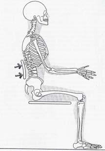 Pode-se, então, deixar um espaço entre o assento e o encosto de 15 a 20 cm. Um suporte entre a 2ª e a 5ª vértebra lombar proporciona maior liberdade de movimento ao tronco (IIDA, 1990).
