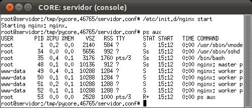 4. Inicie o Nginx no servidor : a. Abra um terminal do servidor com um duplo clique. b. Utilize o seguinte comando para iniciar o servidor HTTP Nginx: # /etc/init.